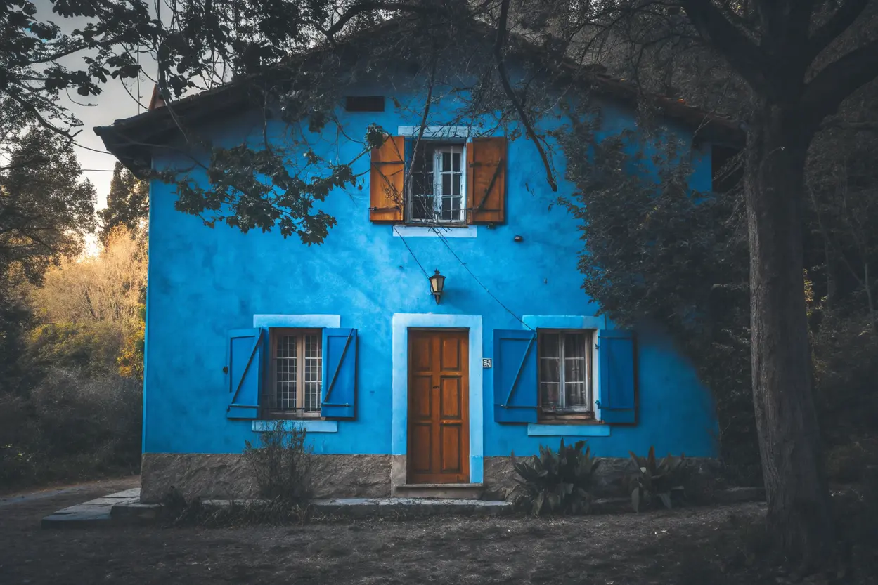 Maladie de la vigne : identifier, prévenir et traiter efficacement